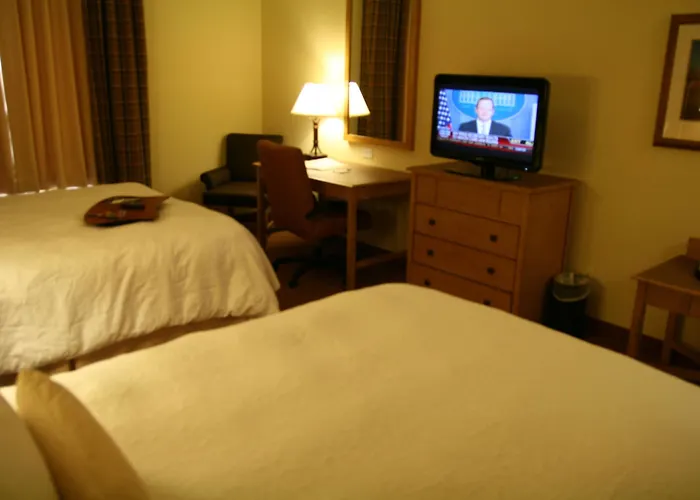 Hampton & Hotel 3*